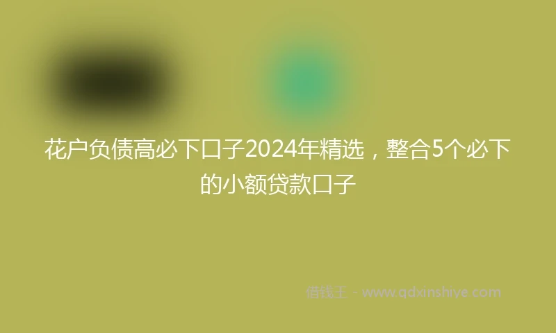 花户负债高必下口子2024年精选，整合5个必下的小额贷款口子