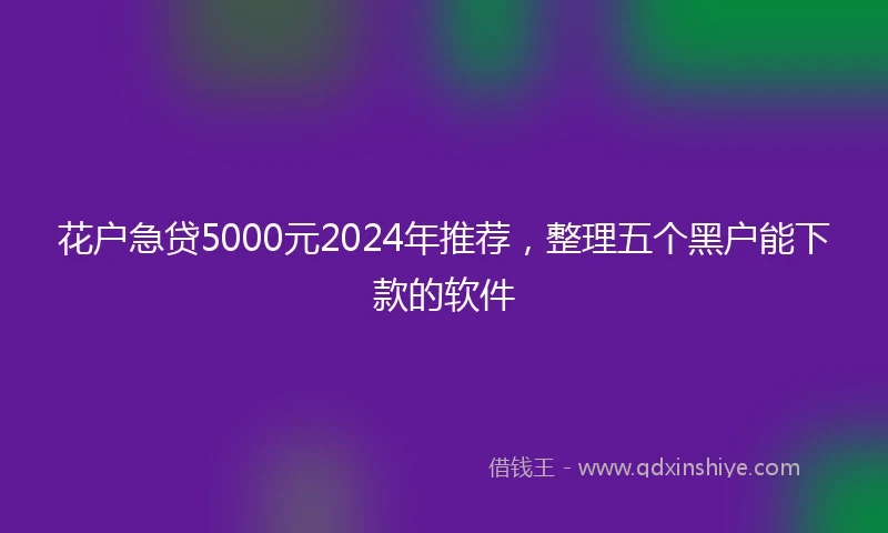 花户急贷5000元2024年推荐，整理五个黑户能下款的软件