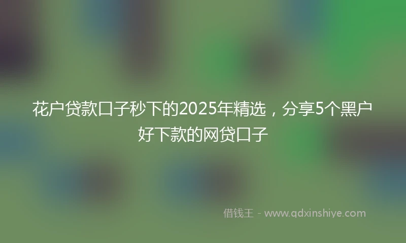 花户贷款口子秒下的2025年精选，分享5个黑户好下款的网贷口子