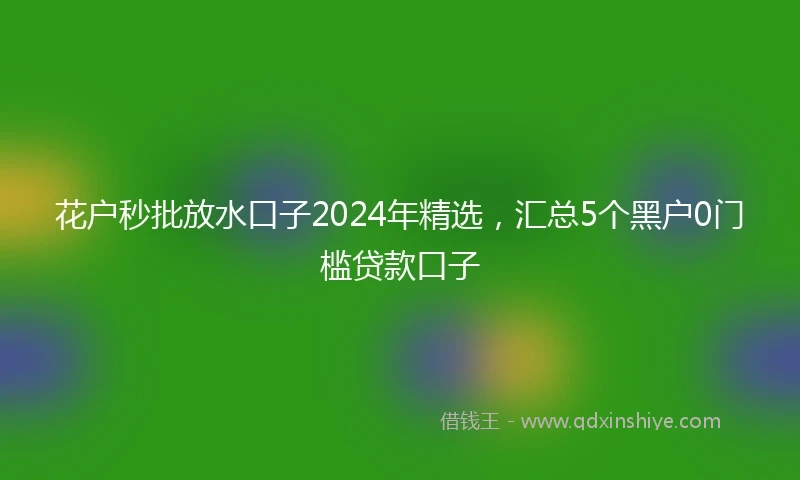 花户秒批放水口子2024年精选，汇总5个黑户0门槛贷款口子