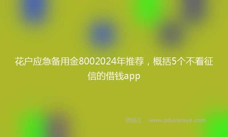 花户应急备用金8002024年推荐，概括5个不看征信的借钱app