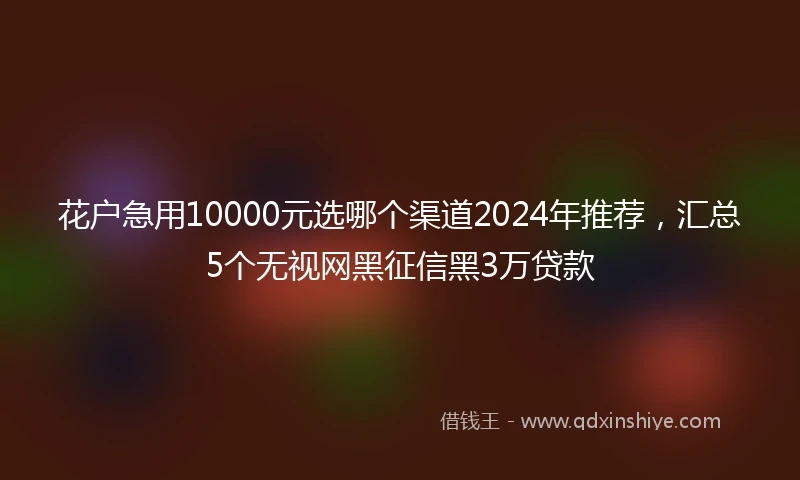 花户急用10000元选哪个渠道2024年推荐,汇总5个无视网黑征信黑3万贷款