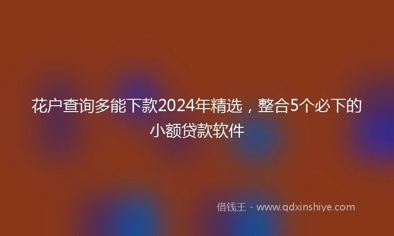 花户查询多能下款2024年精选，整合5个必下的小额贷款软件