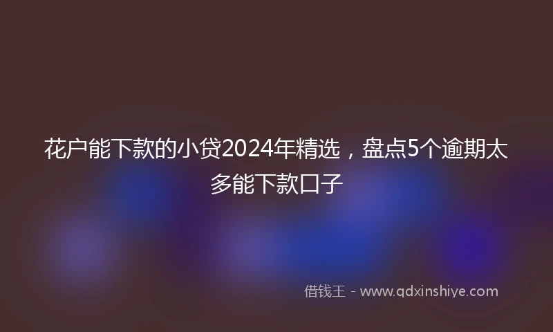 花户能下款的小贷2024年精选，盘点5个逾期太多能下款口子