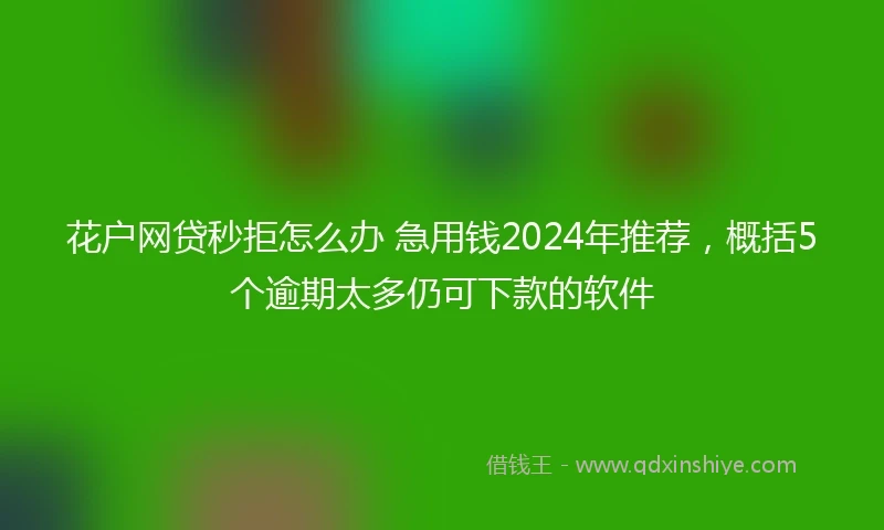 花户网贷秒拒怎么办 急用钱2024年推荐，概括5个逾期太多仍可下款的软件
