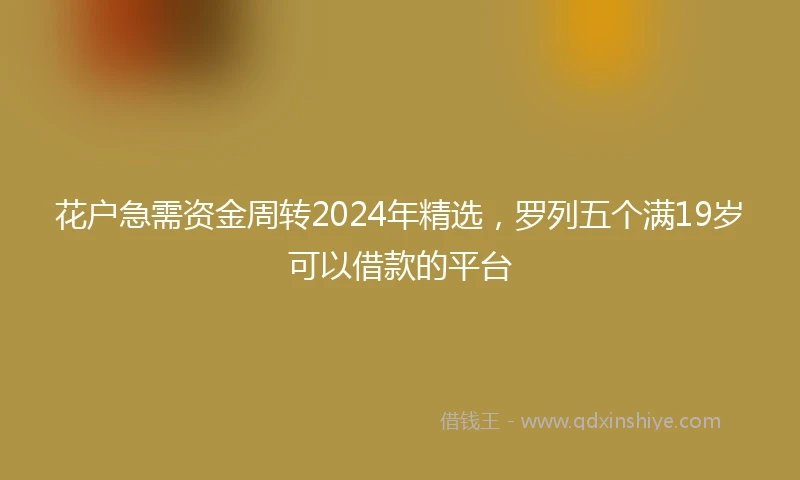 花户急需资金周转2024年精选，罗列五个满19岁可以借款的平台