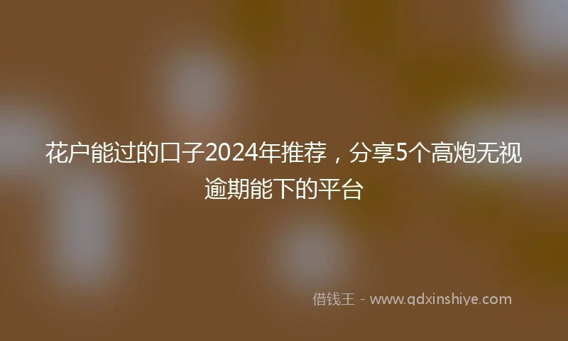 花户能过的口子2024年推荐，分享5个高炮无视逾期能下的平台
