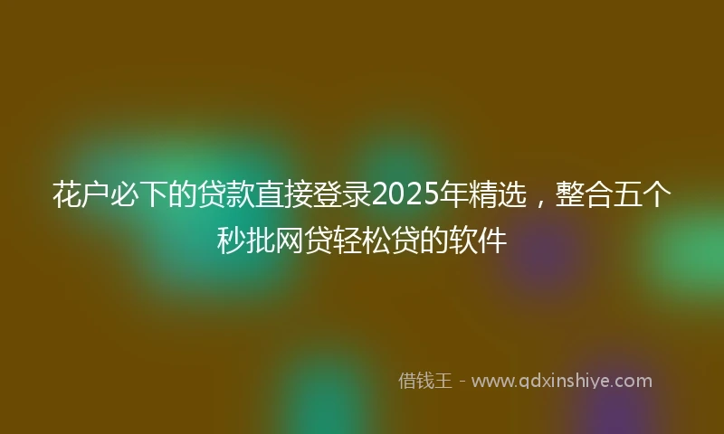 花户必下的贷款直接登录2025年精选，整合五个秒批网贷轻松贷的软件