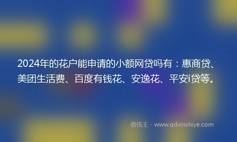 2024年的花户能申请的小额网贷吗有：惠商贷、美团生活费、百度有钱花、安逸花、平安i贷等。
