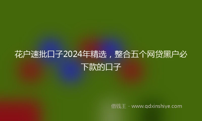 花户速批口子2024年精选，整合五个网贷黑户必下款的口子