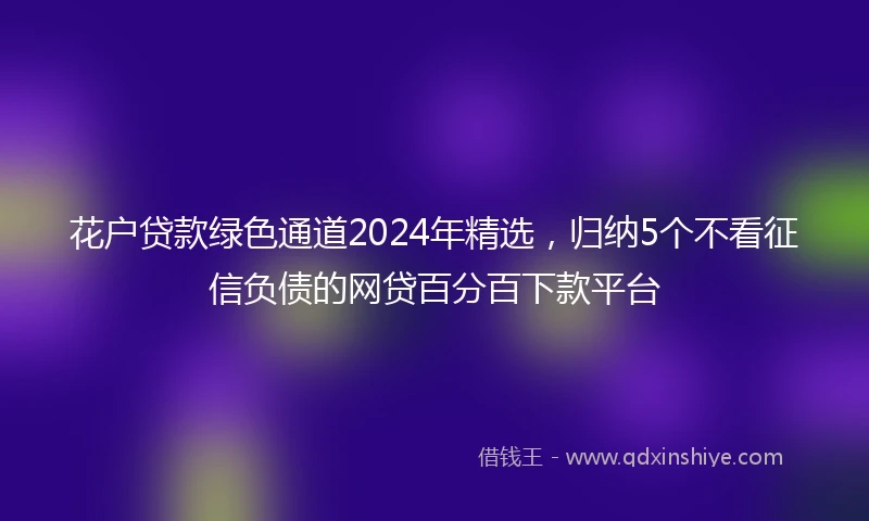 花户贷款绿色通道2024年精选，归纳5个不看征信负债的网贷百分百下款平台