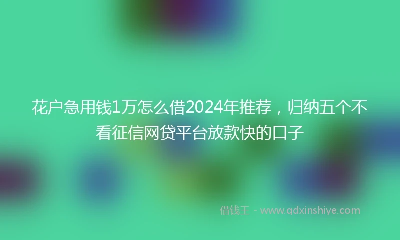 花户急用钱1万怎么借2024年推荐，归纳五个不看征信网贷平台放款快的口子
