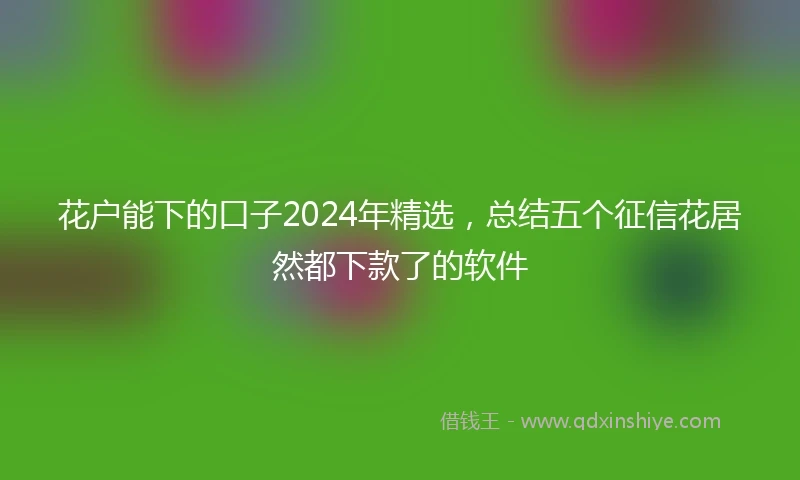 花户能下的口子2024年精选，总结五个征信花居然都下款了的软件