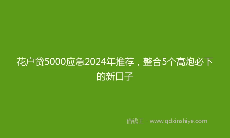 花户贷5000应急2024年推荐，整合5个高炮必下的新口子