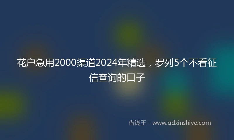 花户急用2000渠道2024年精选，罗列5个不看征信查询的口子