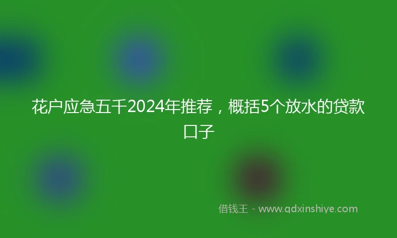 花户应急五千2024年推荐，概括5个放水的贷款口子