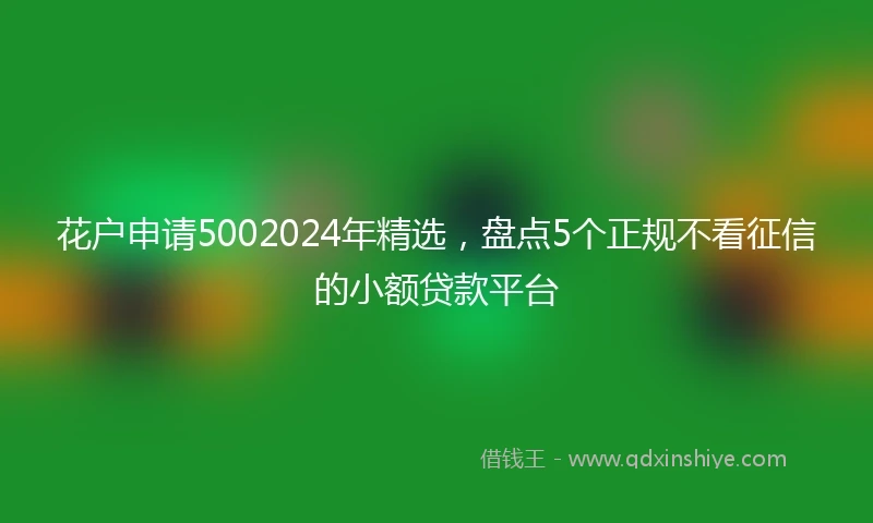 花户申请5002024年精选，盘点5个正规不看征信的小额贷款平台