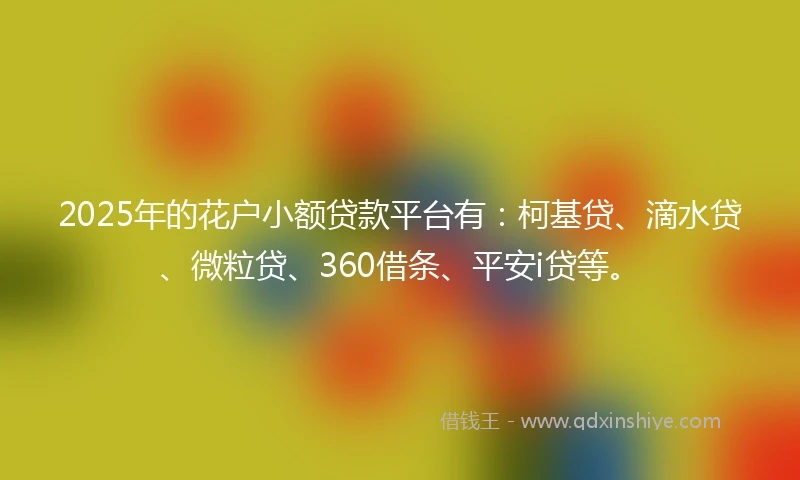 2025年的花户小额贷款平台有：柯基贷、滴水贷、微粒贷、360借条、平安i贷等。