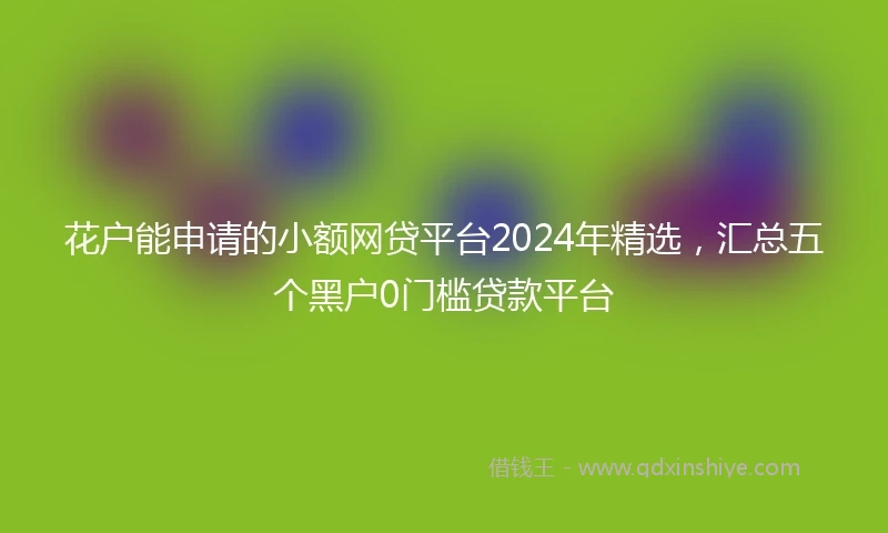 花户能申请的小额网贷平台2024年精选，汇总五个黑户0门槛贷款平台