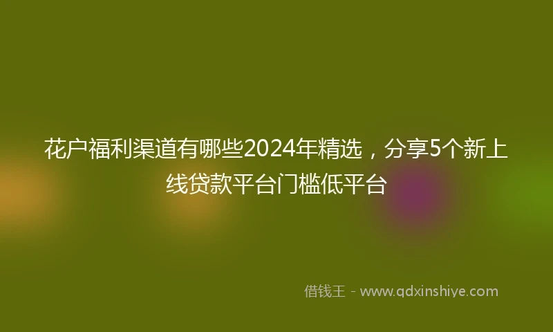 花户福利渠道有哪些2024年精选，分享5个新上线贷款平台门槛低平台