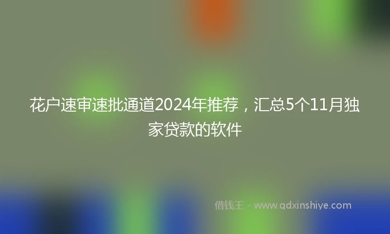 花户速审速批通道2024年推荐，汇总5个11月独家贷款的软件