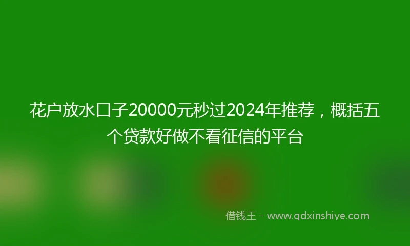 花户放水口子20000元秒过2024年推荐，概括五个贷款好做不看征信的平台