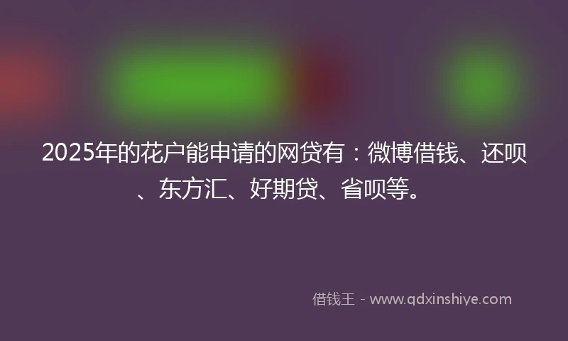 2025年的花户能申请的网贷有：微博借钱、还呗、东方汇、好期贷、省呗等。