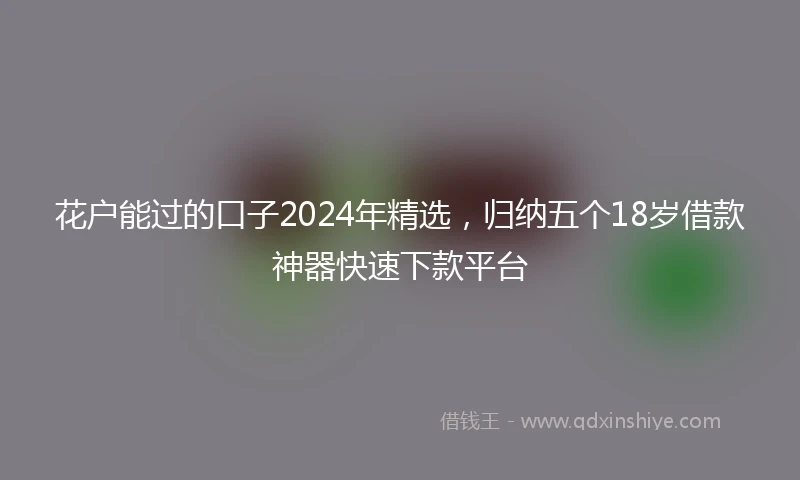 花户能过的口子2024年精选，归纳五个18岁借款神器快速下款平台