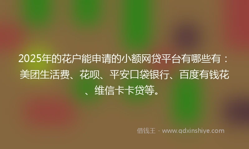 2025年的花户能申请的小额网贷平台有哪些有：美团生活费、花呗、平安口袋银行、百度有钱花、维信卡卡贷等。