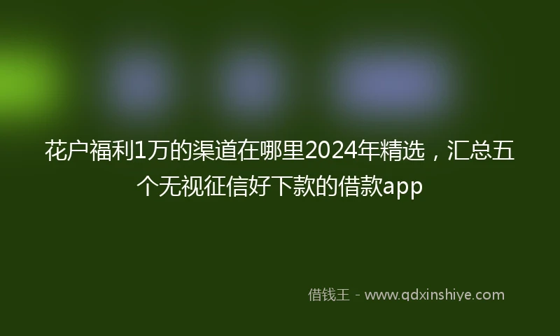 花户福利1万的渠道在哪里2024年精选，汇总五个无视征信好下款的借款app