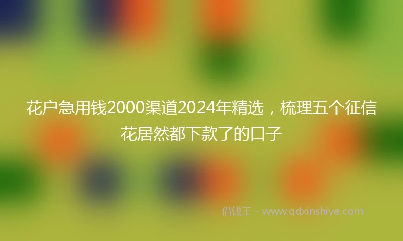 花户急用钱2000渠道2024年精选，梳理五个征信花居然都下款了的口子