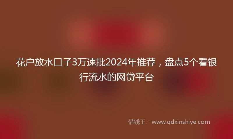 花户放水口子3万速批2024年推荐，盘点5个看银行流水的网贷平台