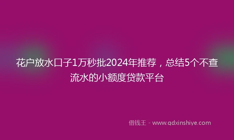 花户放水口子1万秒批2024年推荐，总结5个不查流水的小额度贷款平台