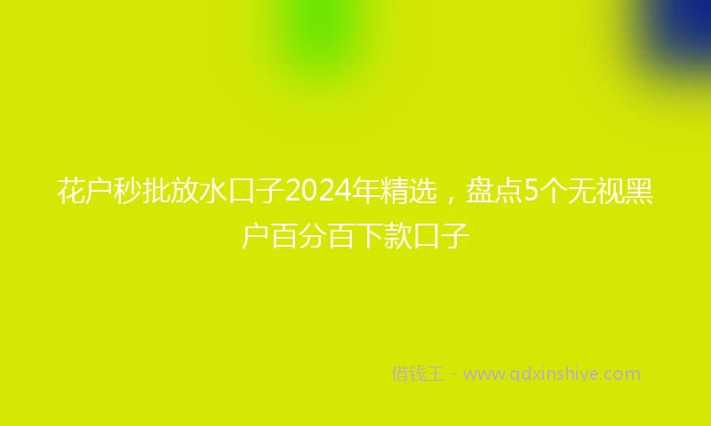 花户秒批放水口子2024年精选，盘点5个无视黑户百分百下款口子