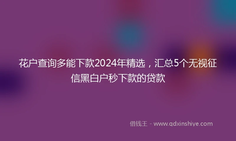 花户查询多能下款2024年精选，汇总5个无视征信黑白户秒下款的贷款