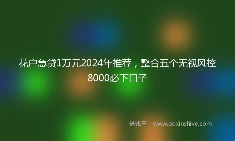 花户急贷1万元2024年推荐，整合五个无视风控8000必下口子