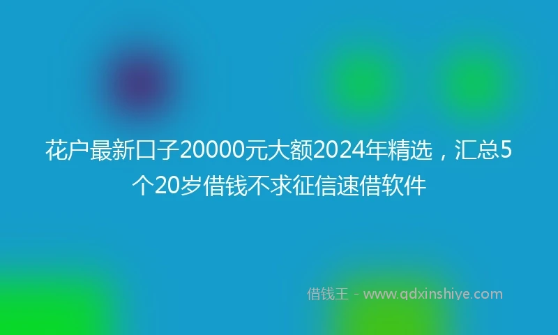 花户最新口子20000元大额2024年精选，汇总5个20岁借钱不求征信速借软件