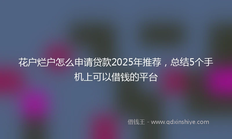 花户烂户怎么申请贷款2025年推荐，总结5个手机上可以借钱的平台