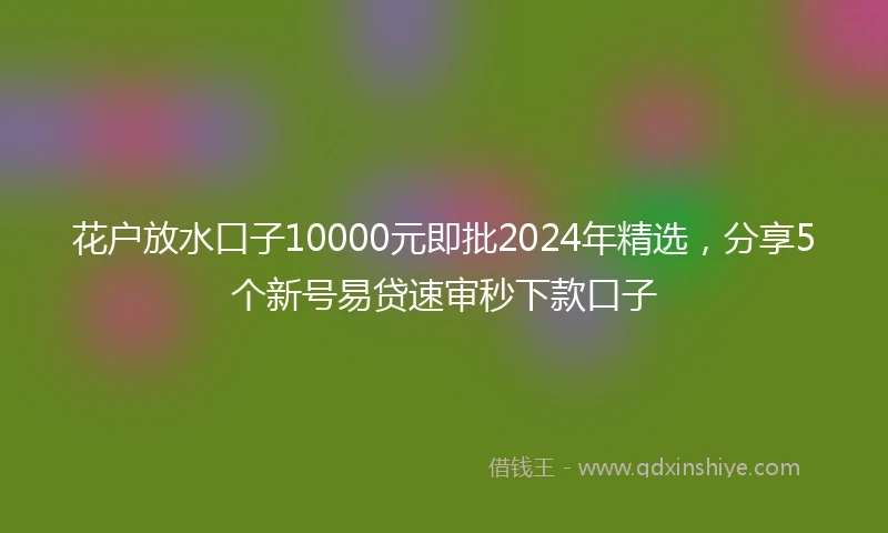 花户放水口子10000元即批2024年精选，分享5个新号易贷速审秒下款口子