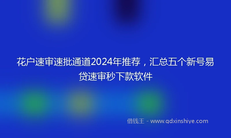 花户速审速批通道2024年推荐，汇总五个新号易贷速审秒下款软件
