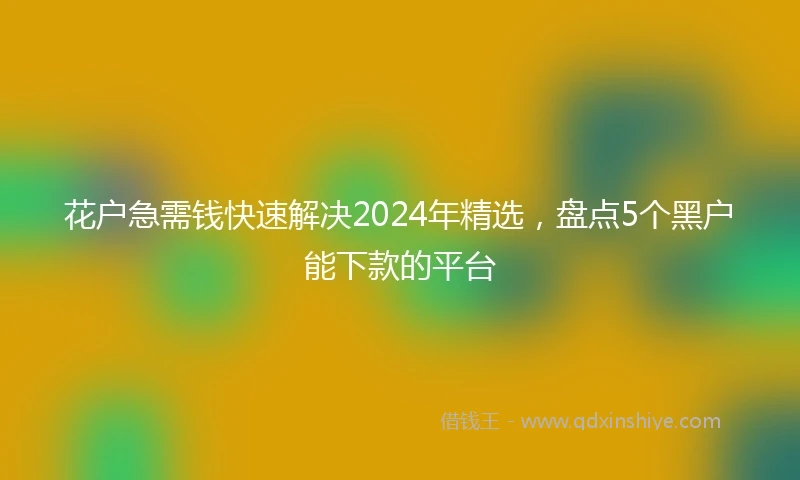 花户急需钱快速解决2024年精选，盘点5个黑户能下款的平台