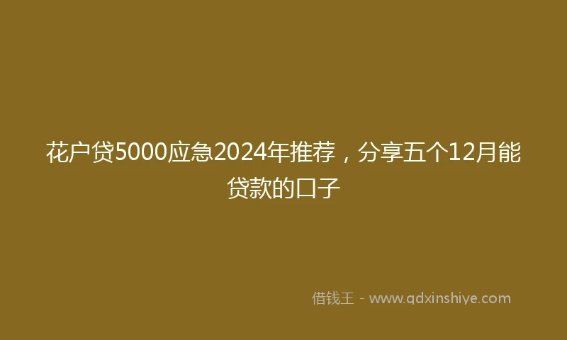 花户贷5000应急2024年推荐，分享五个12月能贷款的口子