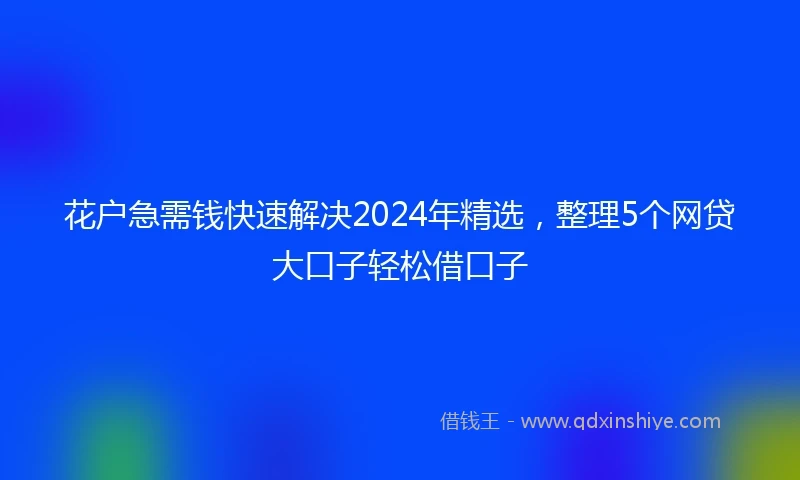 花户急需钱快速解决2024年精选，整理5个网贷大口子轻松借口子