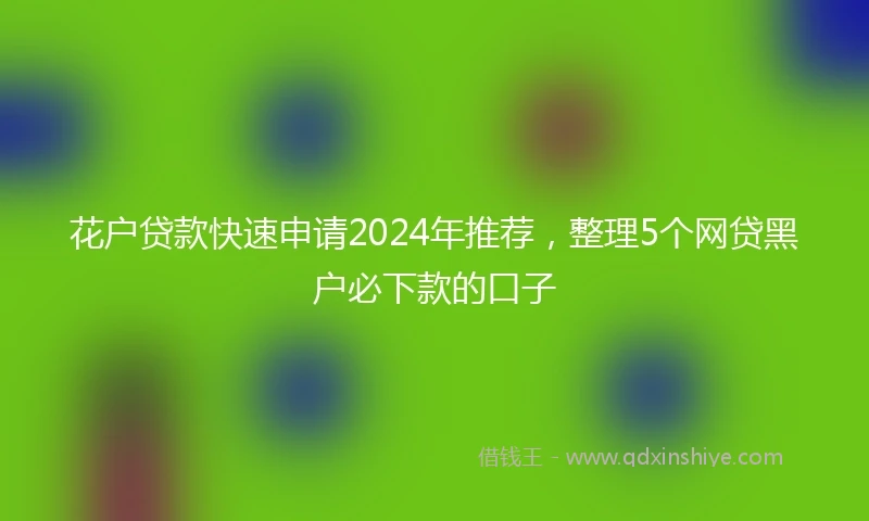花户贷款快速申请2024年推荐，整理5个网贷黑户必下款的口子