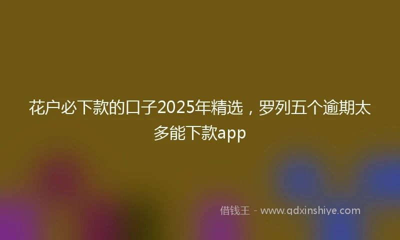 花户必下款的口子2025年精选，罗列五个逾期太多能下款app