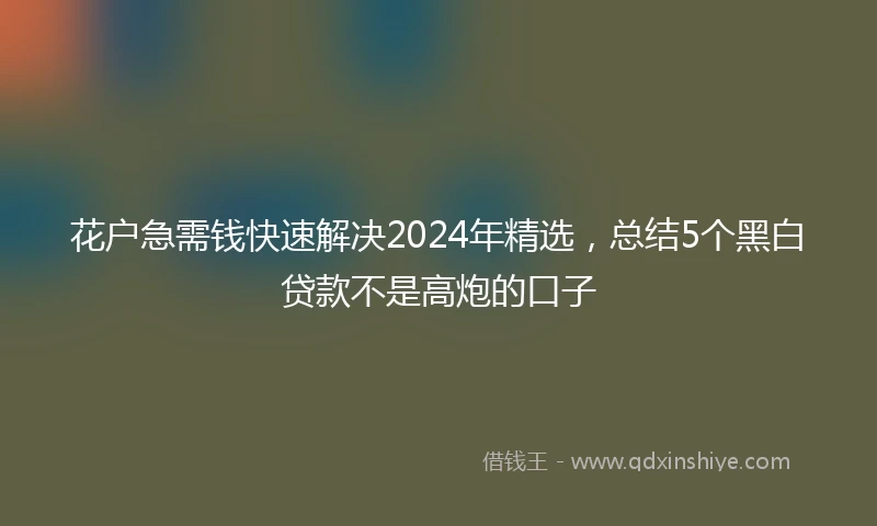 花户急需钱快速解决2024年精选，总结5个黑白贷款不是高炮的口子