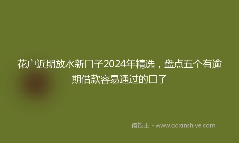 花户近期放水新口子2024年精选，盘点五个有逾期借款容易通过的口子