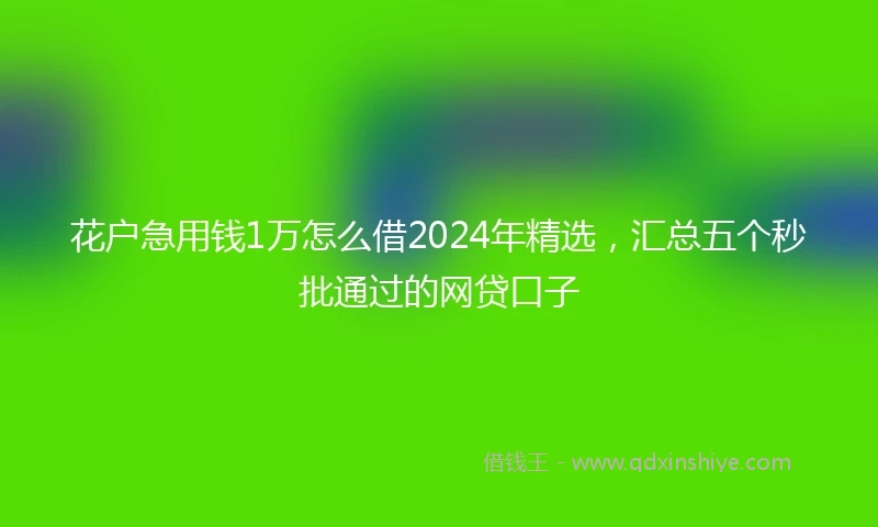 花户急用钱1万怎么借2024年精选，汇总五个秒批通过的网贷口子