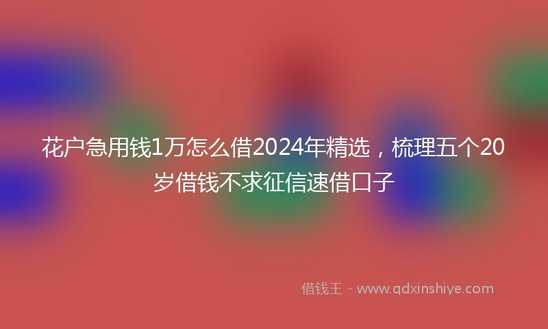 花户急用钱1万怎么借2024年精选，梳理五个20岁借钱不求征信速借口子