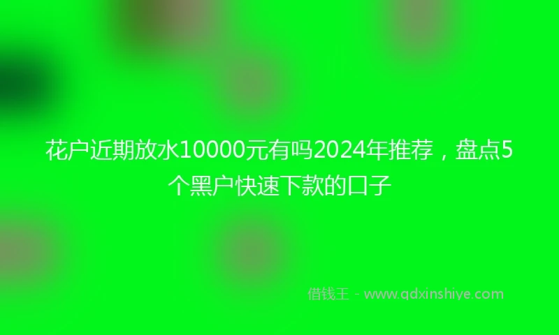 花户近期放水10000元有吗2024年推荐，盘点5个黑户快速下款的口子
